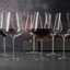 SPIEGELAU Definition Bundle Bordeaux Glasses in use