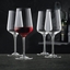 NACHTMANN ViNova bicchiere da vino rosso in uso