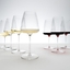 RIEDEL Winewings Riesling in the group