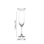 SPIEGELAU Winelovers Champagne Flute 