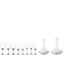 SPIEGELAU Authentis Bundle Wine and Champagne Glasses in the group