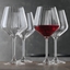 SPIEGELAU Lifestyle Burgundy Glass in use