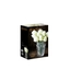 NACHTMANN Quartz Vase - 16cm | 6.286in in the packaging