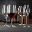 NACHTMANN ViVino White Wine Glass in use