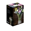 NACHTMANN Saphir Vase - 21cm | 8.25in in the packaging