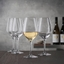 SPIEGELAU Authentis Weißweinglas -Klein im Einsatz