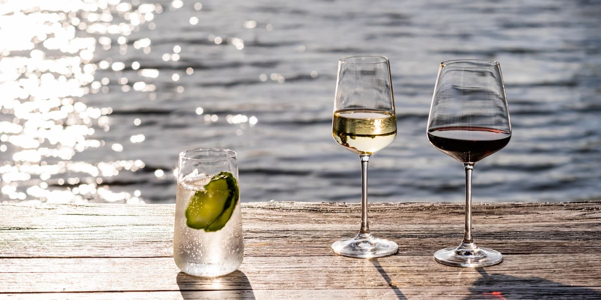 RCSS Ajax Spieglelau Wine Glass $5 pair Reg $40