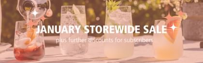 January storewide sale header