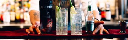 Two SPIEGELAU Perfect Serve Collection Long Drink glasses filled with gin & tonic on a bar. 