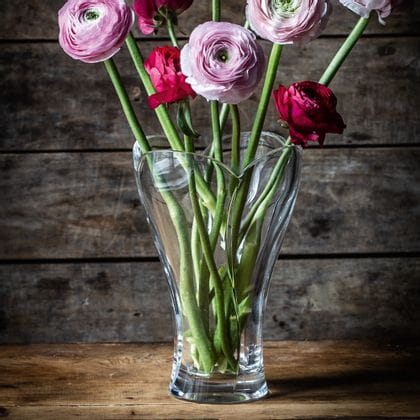 The crystal vase NACHTMANN Calypso, filled with pink ranunculus and red roses on a wooden sideboard.<br/>