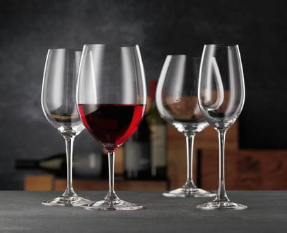 Nachtmann ViVino Collection
