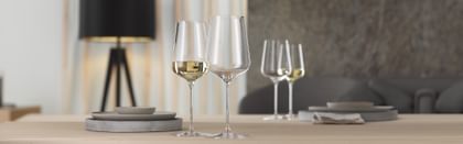 RIEDEL white wine glasses in table setting