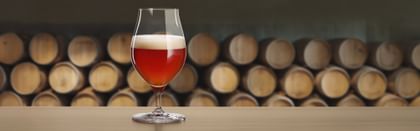 beer glass in front of a row of barrels