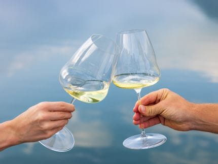 Two hands clinking together two RIEDEL Winewings Chardonnay glasses filled with white wine with water in the backdrop.