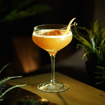 SPIEGELAU Perfect Serve Coupette – Bronx Cocktail perfekt serviert